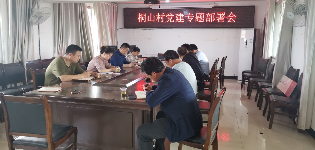 区住建局联点指导帮扶桐山村党建工作