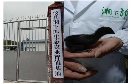 从春天出发                 ——县人社局“暖企行动”迈出坚实步伐