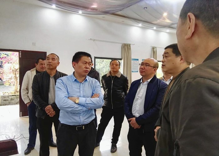 市政府副秘书长一行视察新苗公园