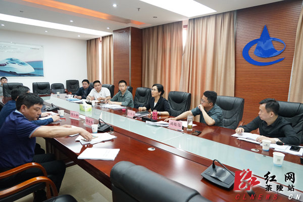 茶陵县召开一季度经济形势分析暨产业项目建设年活动推进会
