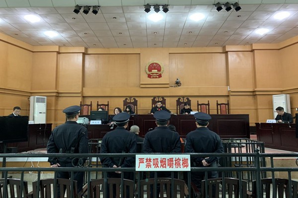攸县法院参与全市集中宣判活动