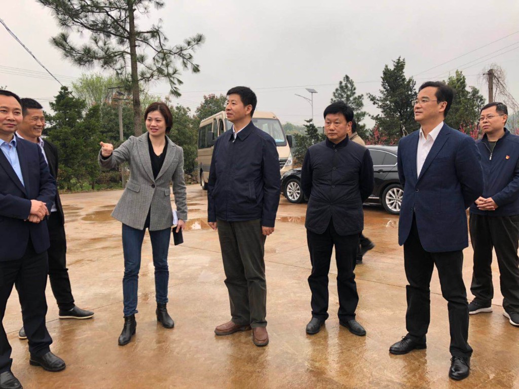 市委副书记王洪斌深入荷塘区调研农村人居环境整治工作