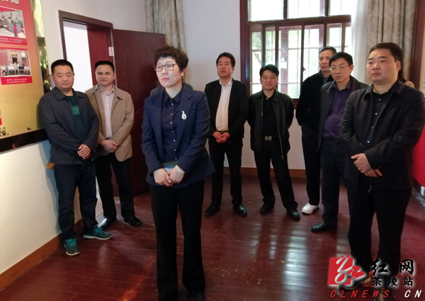 左琳来茶调研全域旅游工作
