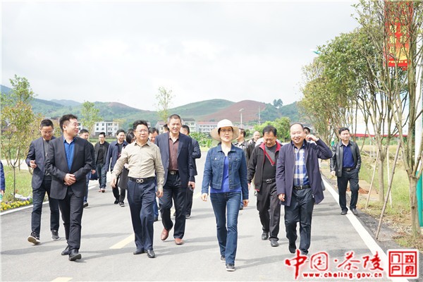 江小忠深入严塘镇湾里村指导人居环境改善及旅游开发工作