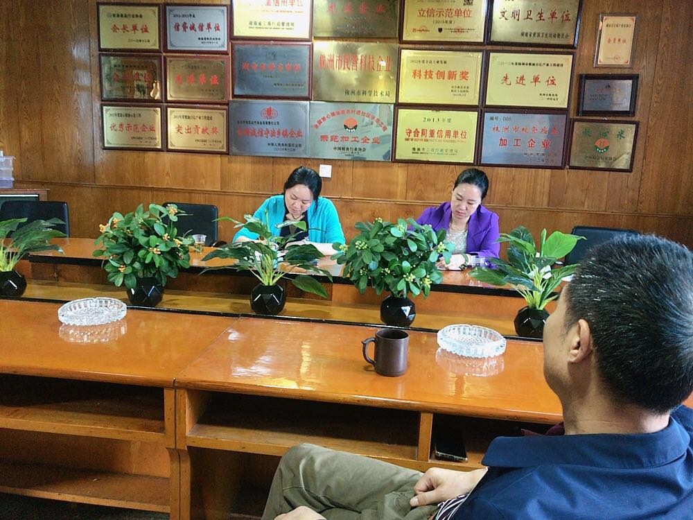 温暖企业在行动:攸县统计局深入连点企业走访调研