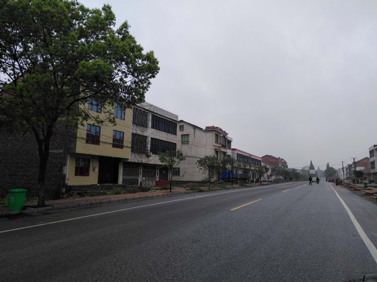 农村道路添新绿   人居环境换新颜