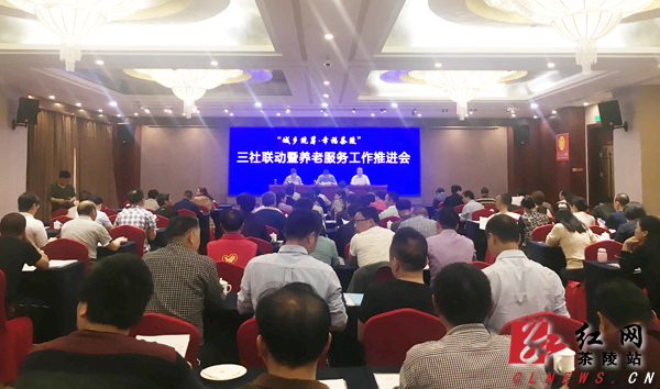 茶陵县“城乡统筹·幸福茶陵”三社联动暨养老服务活动推进会召开