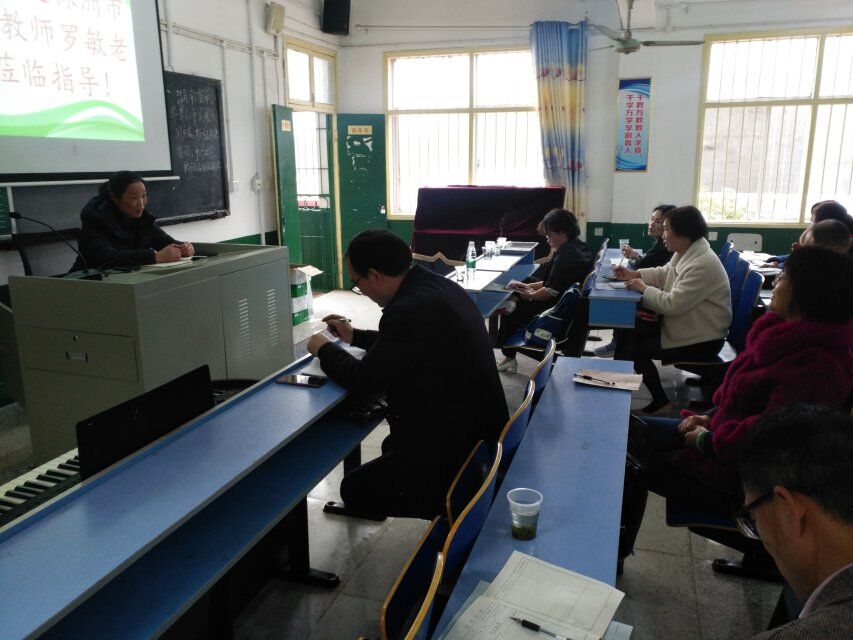 分层教学提质量 数学教研谱华章——记渌口片初中数学教研共同体活动