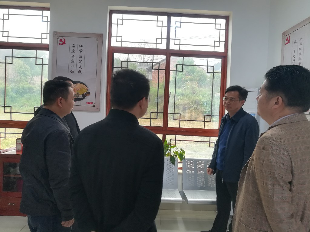 县人大、政府来丫江桥调研农村村庄规划 建设管理工作