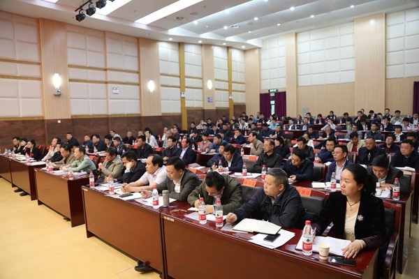 攸县召开2019年一季度经济形势分析会：坚持项目为王 全力推动经济持续健康发展