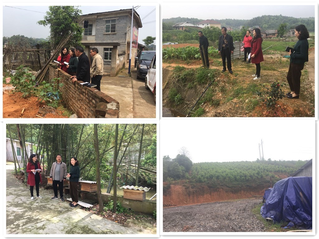 荷塘区残联开展市“民生100”工程 农村残疾人阳光增收计划筛查工作