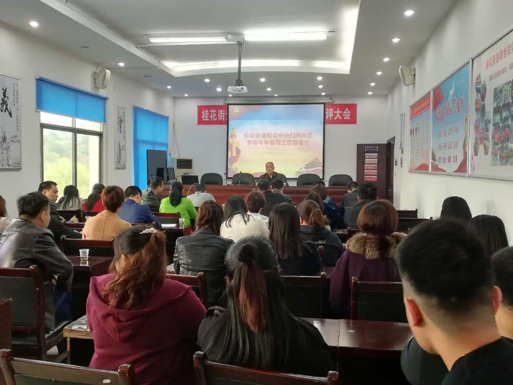 桂花街道召开配合中央扫黑除恶专项斗争督导工作部署会