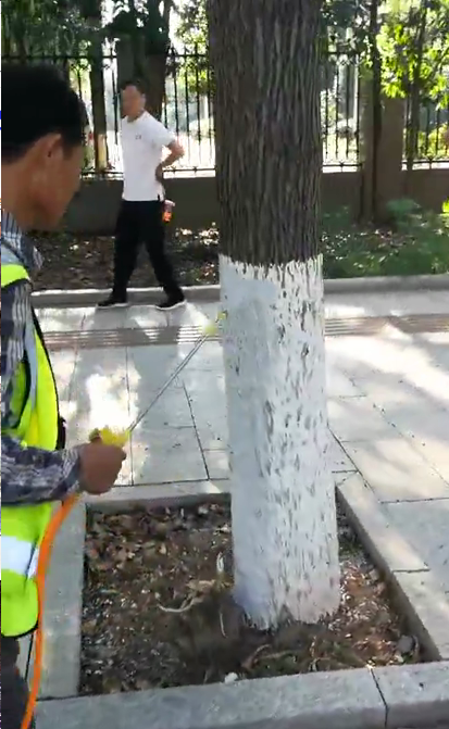 株洲市四月份园林养护工作要点