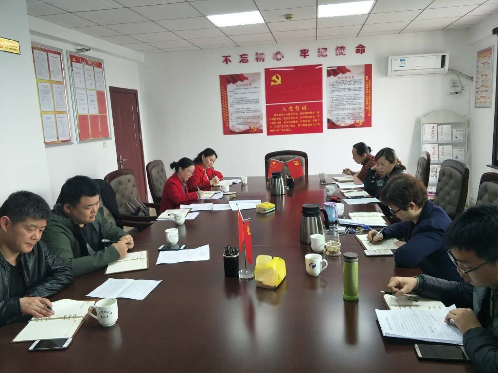 市统计局第一党支部召开2018年度组织生活会和民主评议党员大会