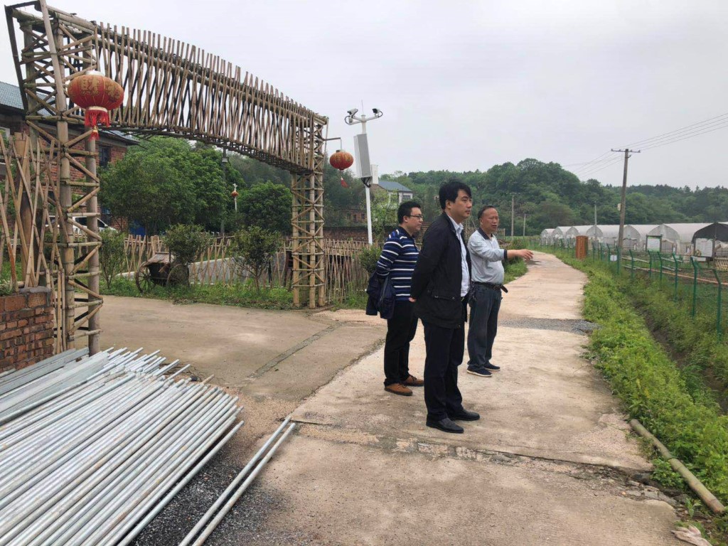 坚持项目为王企业为上 推动经济持续健康发展