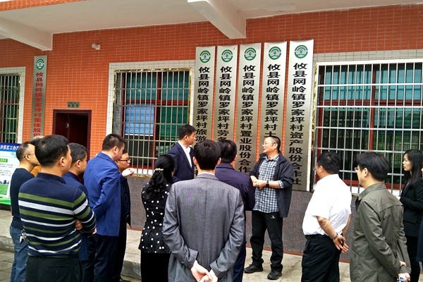 江苏省政府研究室顾问卢水生来攸调研农村集体产权制度改革工作