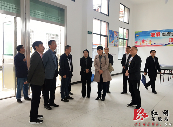 民进湖南省委一行来茶调研化解义务教育大班额和农村小规模学校建设