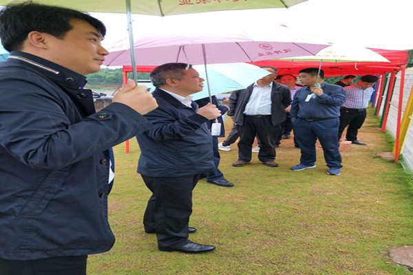 攸县法院：院长深入企业 着力化解难题