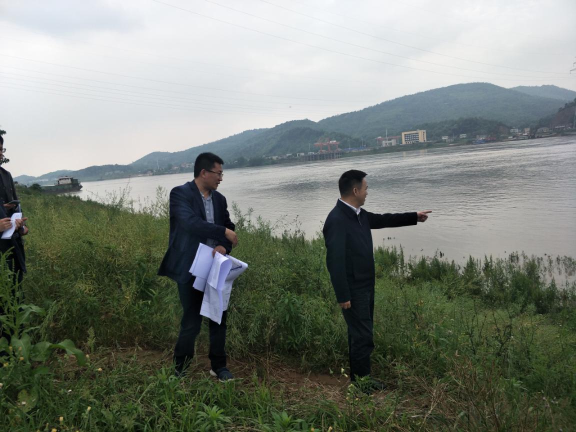 副市长何朝晖督查指导我区防汛工作