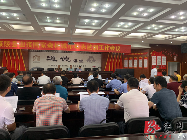 茶陵县迎接国家森林城市动态监测工作会议召开