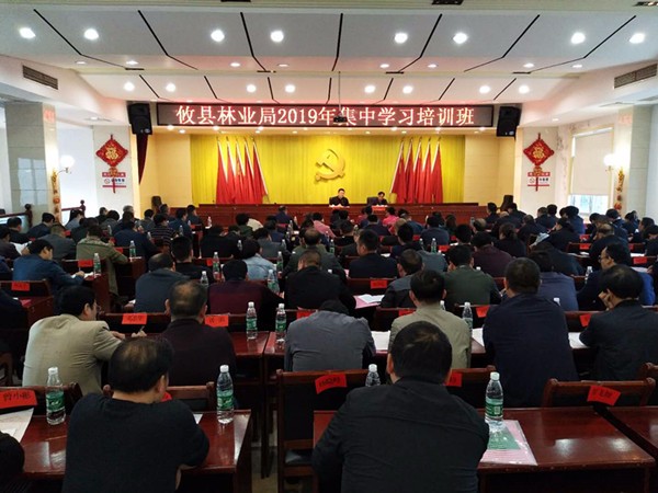 攸县林业局组织集中学习培训强素质