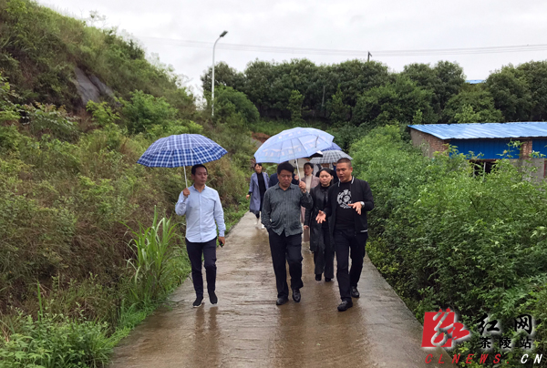 刘柏生来茶调研禽畜养殖污染防治立法工作