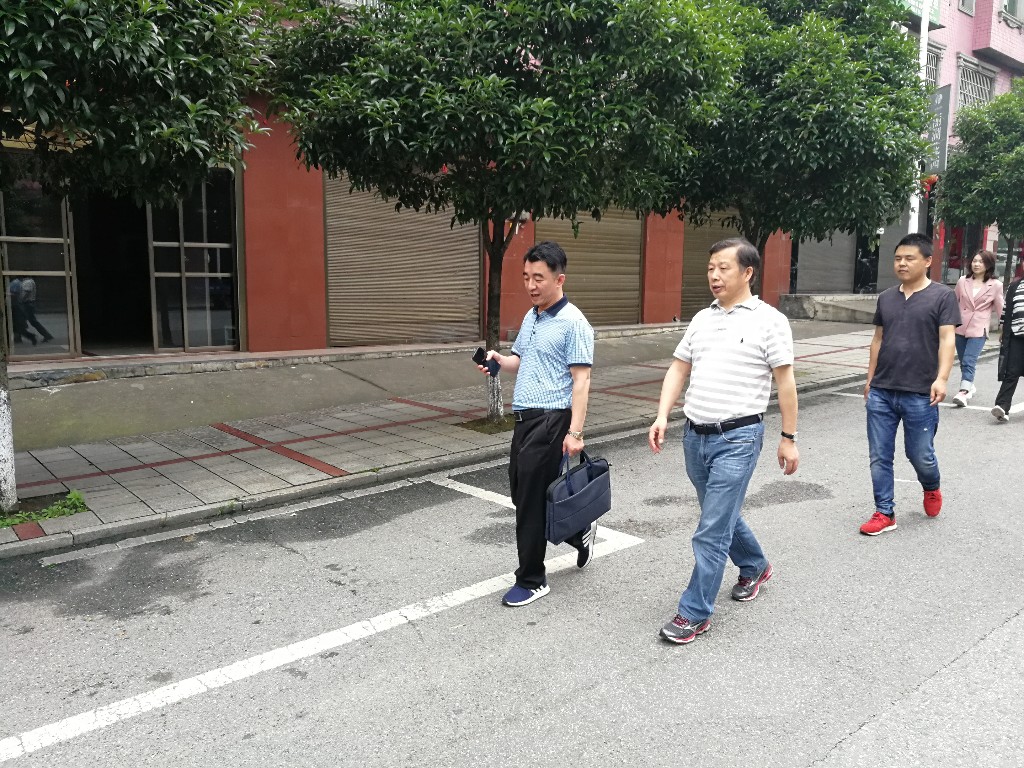 株洲市地产集团有限公司来黄丰桥镇调研