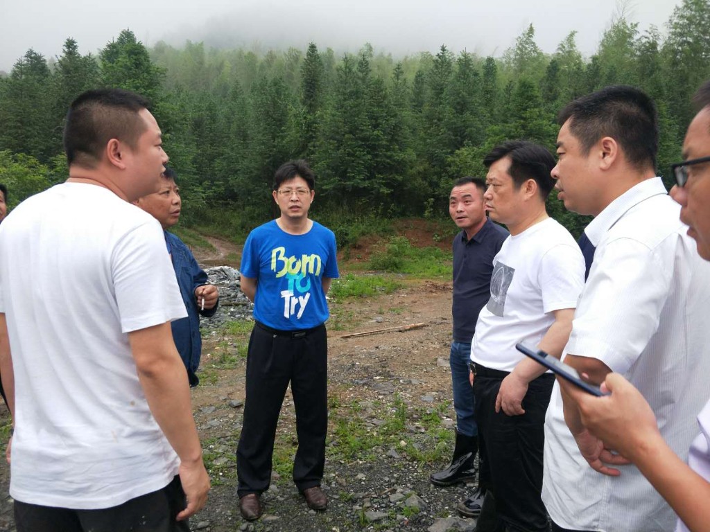 鸾山镇齐心协力抗灾抢险