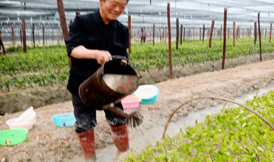 产业扶贫基地巩固脱贫显真章