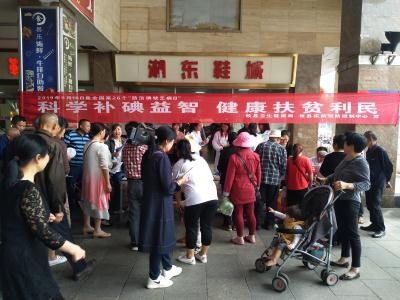 攸县开展“防治碘缺乏病日”宣传活动