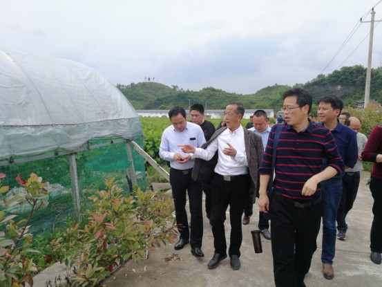 黄丰桥镇党委书记苏爱军一行赴修水县黄溪村考察学习