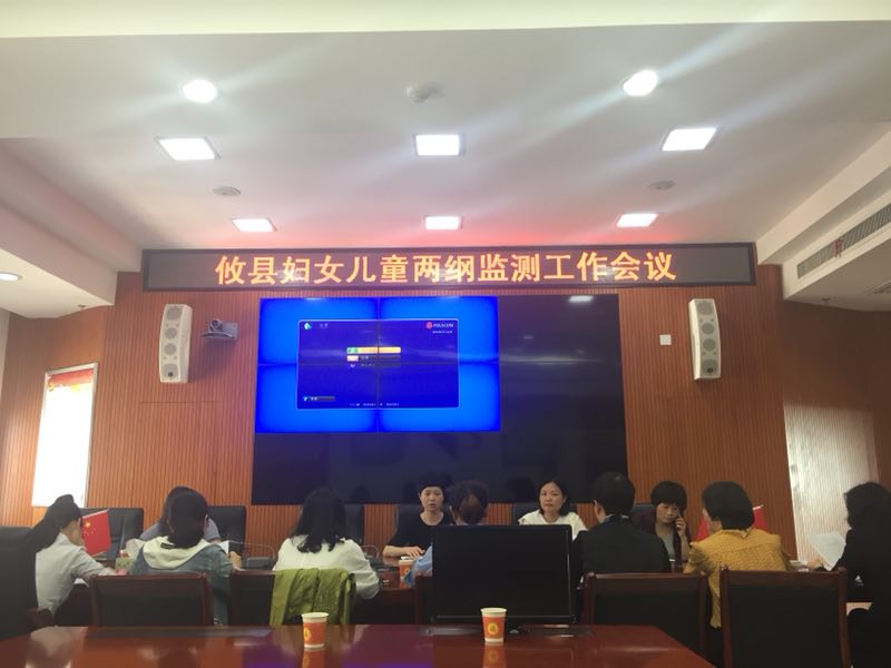 攸县召开"妇女儿童两纲"监测统计工作会议
