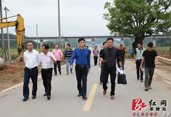 彭新军到高陇镇龙匣村调研