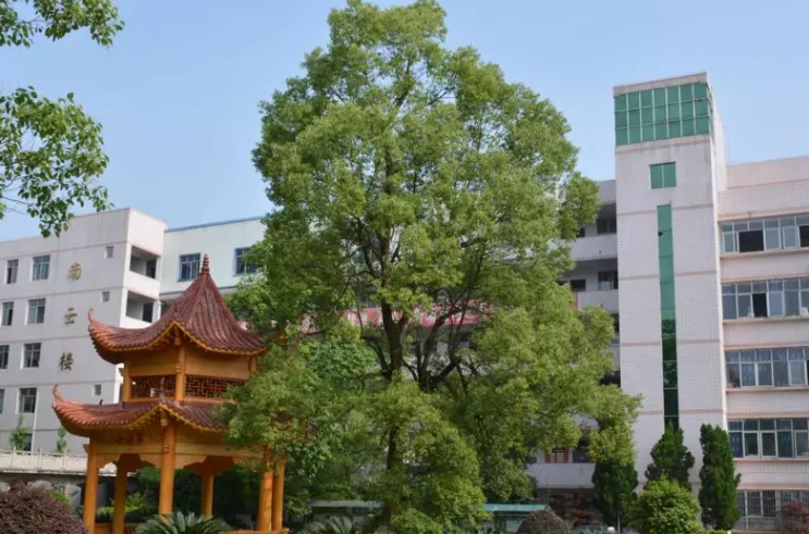 喜大普奔!攸县一中成功入选“湖南省文明标兵校园”