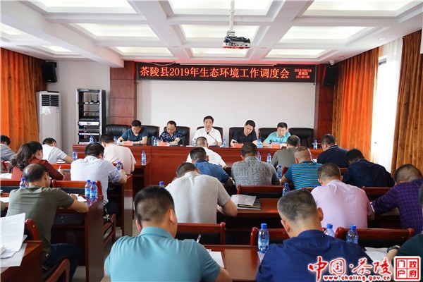 茶陵县2019年生态环境工作调度会召开