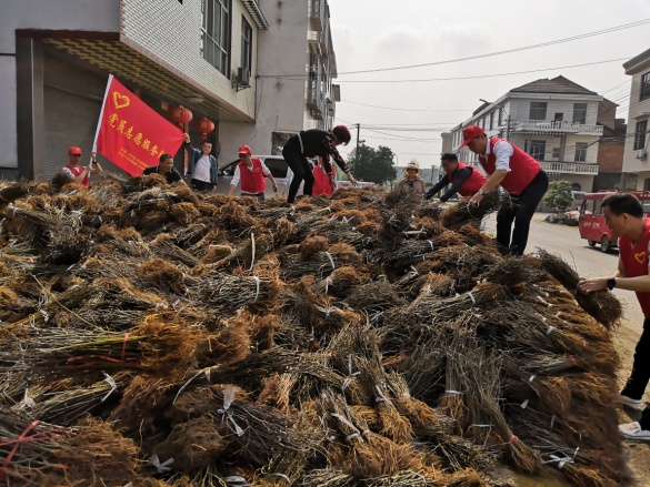 联星市场监督管理所开展"党建 洁净人居环境 扶贫帮困"志愿服务活动