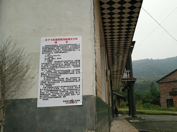攸县启动松褐天牛无人机施药防治作业