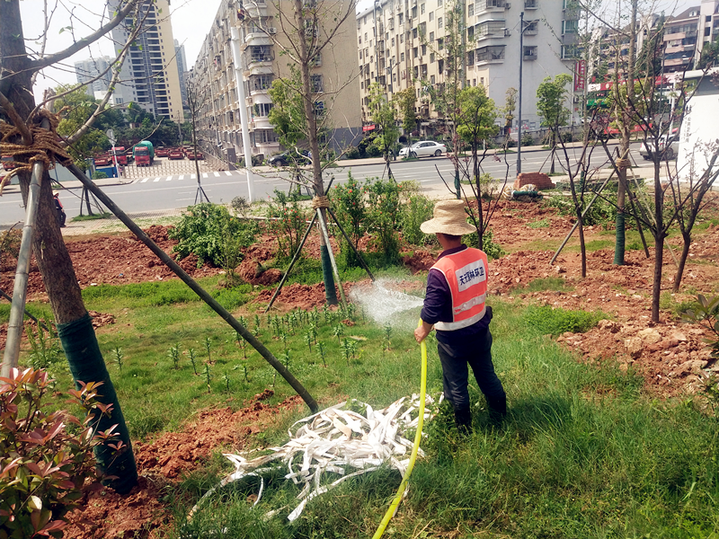 株洲市五月份园林养护工作要点