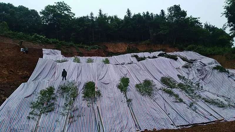 曾毅鹏现场调研沩山镇地质灾害险情应急处置（图）