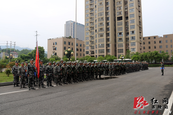 张台华一行到茶陵检查考评民兵整组工作