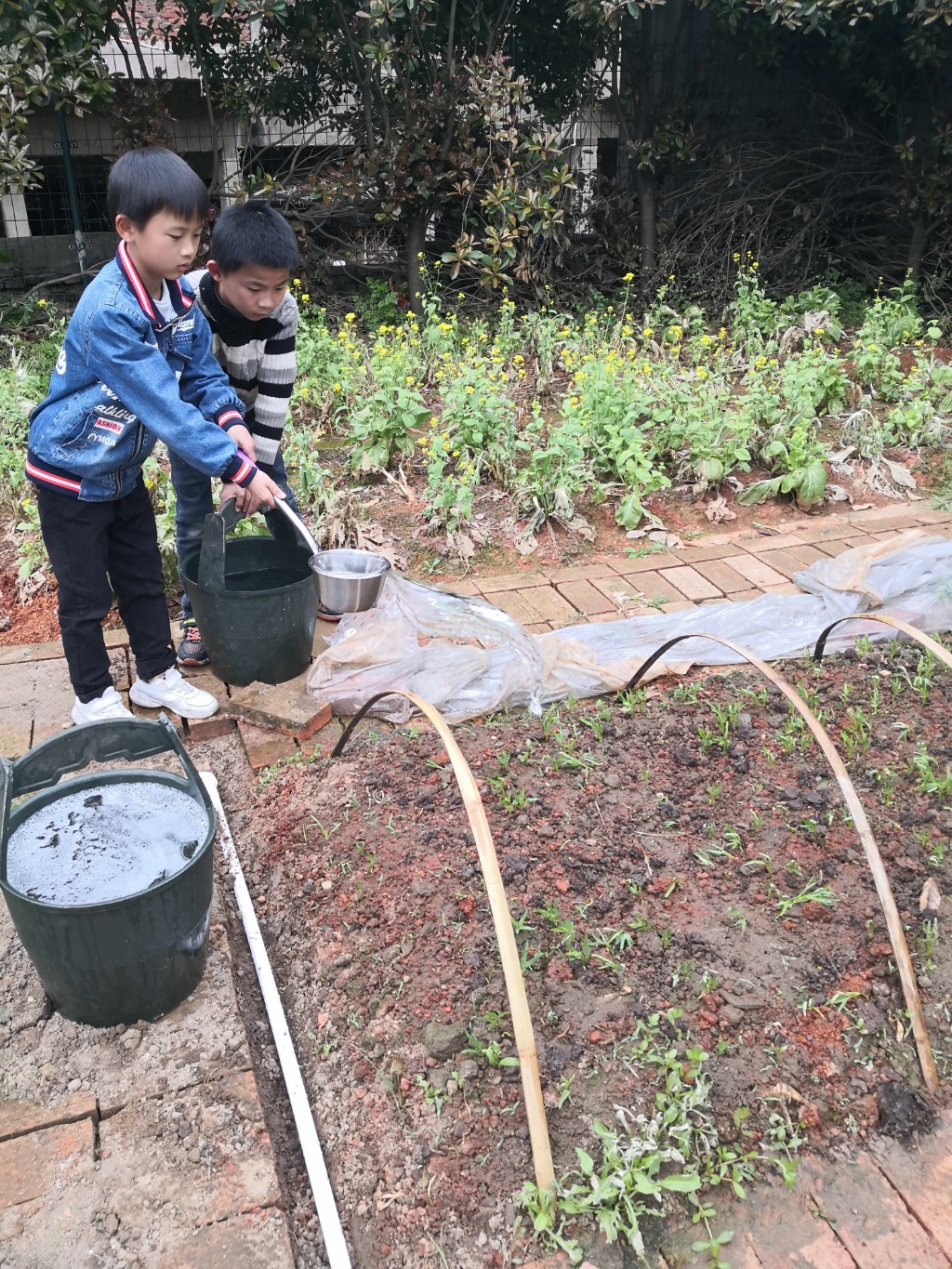 劳动，托起中国梦 ——三门中心小学劳动教育活动小记