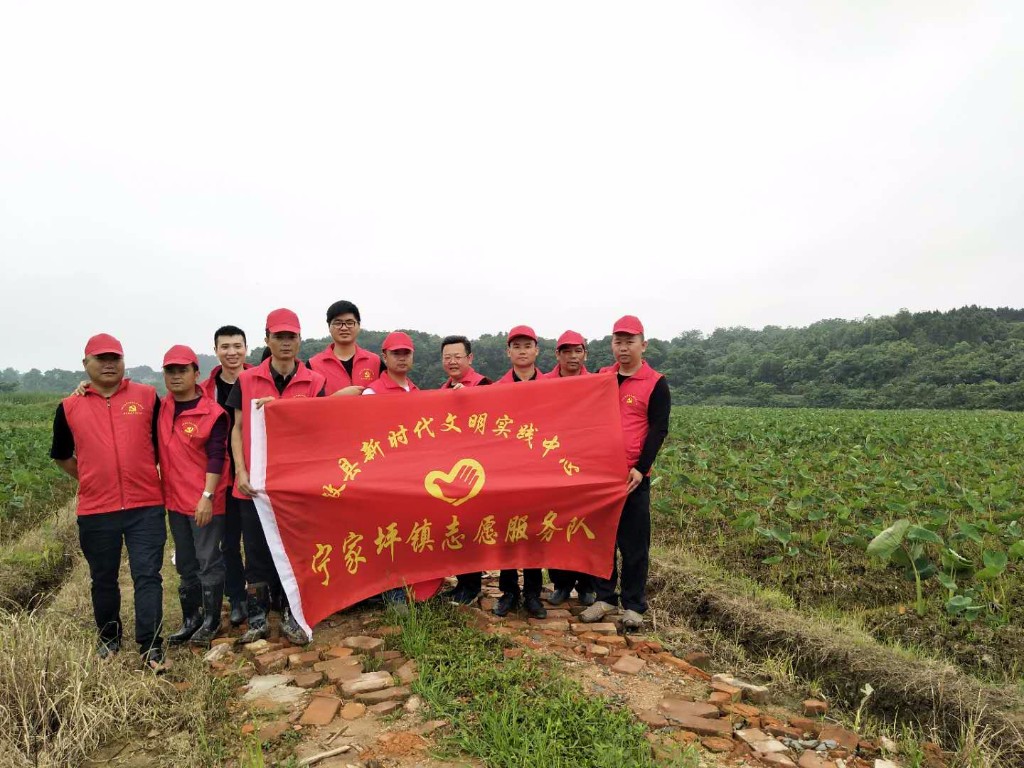宁家坪镇:一句话就是一次志愿行