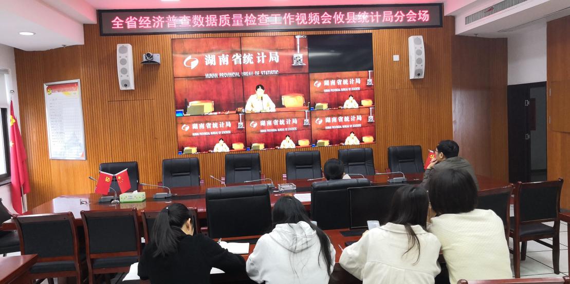 攸县统计局组织参加全省经济普查数据质量检查工作视频会