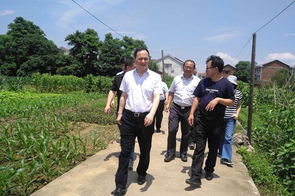 副市长顾峰来攸调研指导草地贪夜蛾监测防控工作