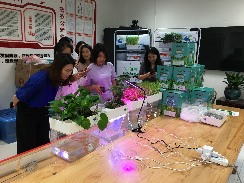 上橙花园小自然生态循环鱼缸展销会