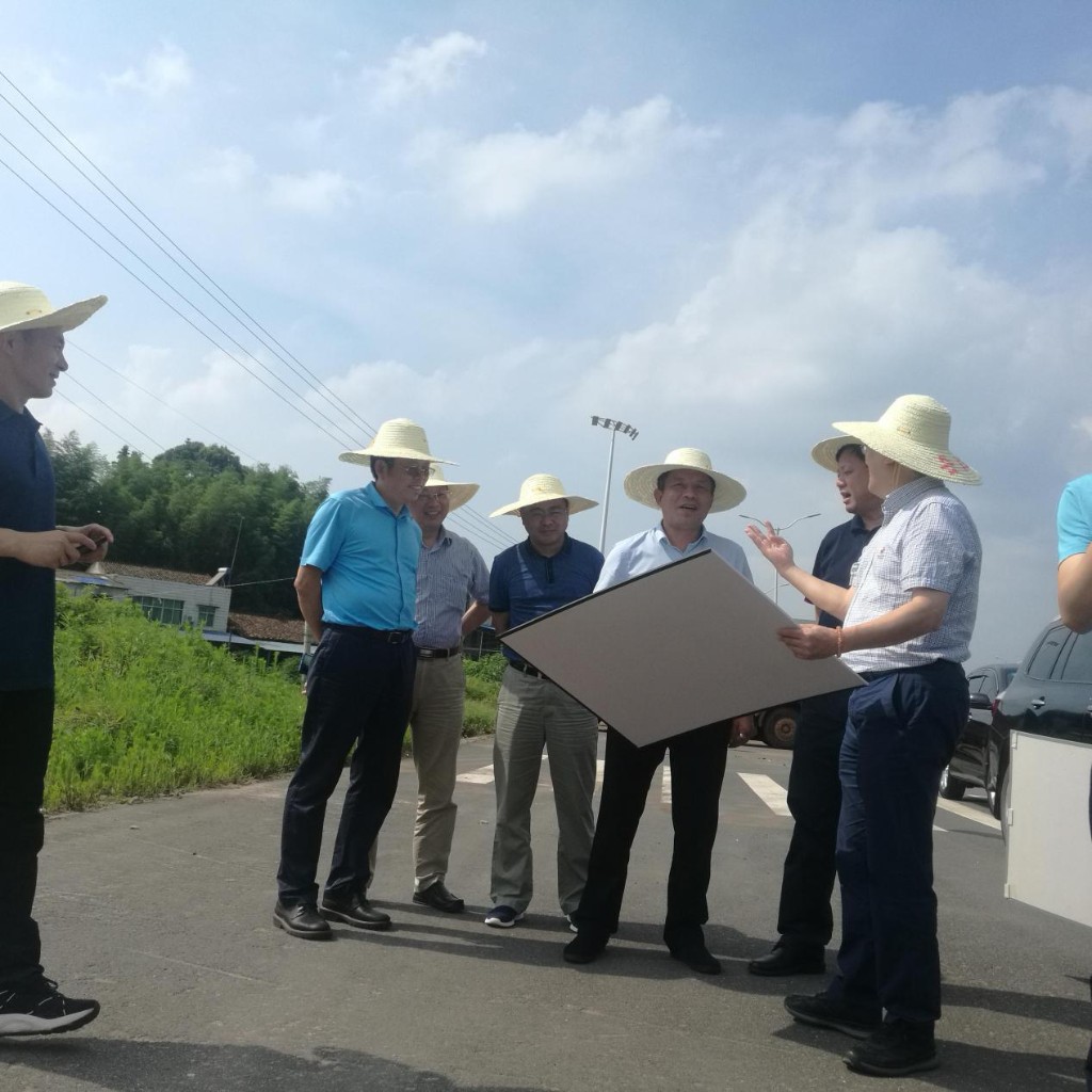冯建湘到渌口区南洲生态新城现场调研