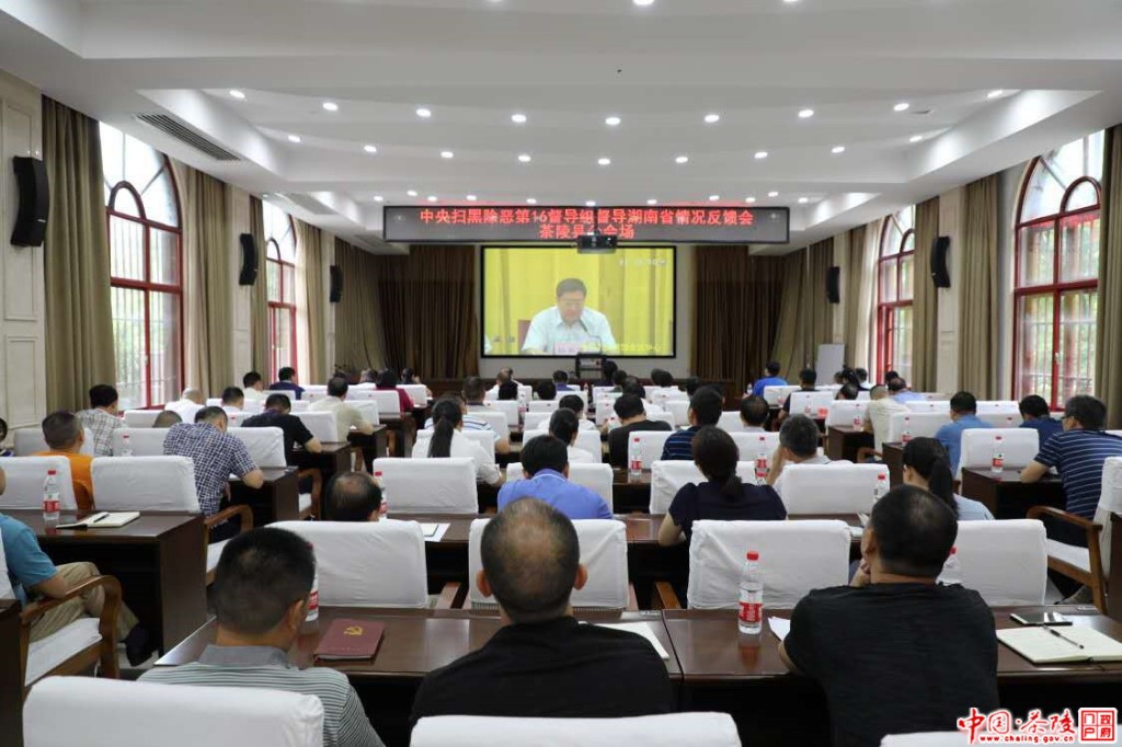 茶陵组织收听收看中央扫黑除恶第16督导组向湖南省反馈督导情况电视电话会议