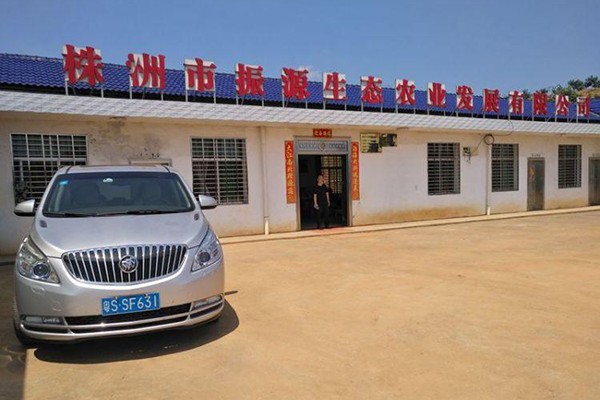 副市长顾峰来攸调研指导草地贪夜蛾监测防控工作