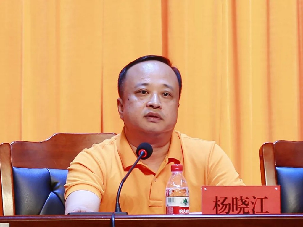 芦淞区庆祝中华人民共和国成立70周年羽毛球赛成功举行