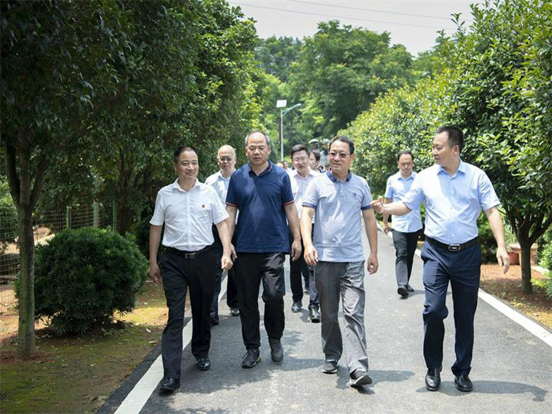 区政协常委会议视察农村人居环境综合整治工作